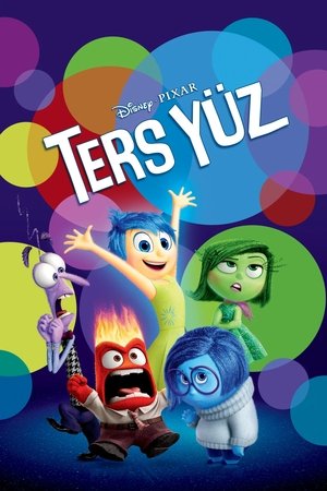 Ters Yüz | Inside Out 2015
