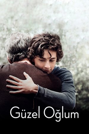 Güzel Oğlum | Beautiful Boy 2018