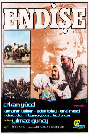 Endişe 1974