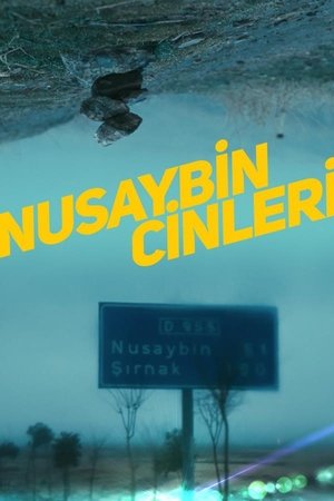 Nusaybin Cinleri 2021