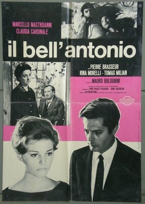 Bell\' Antonio | Il Bell\'Antonio 1960