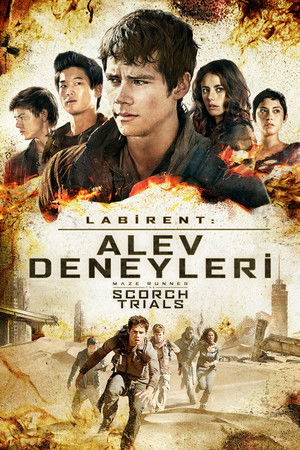 Labirent: Alev Deneyleri | Maze Runner: The Scorch Trials 2015