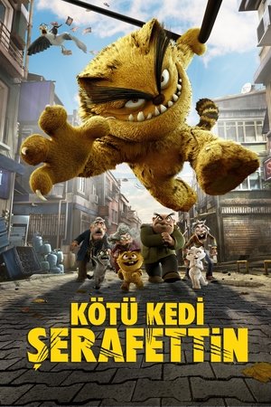 Kötü Kedi Şerafettin | Bad Cat 2016