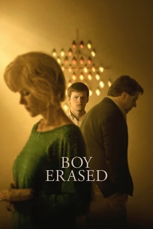 Silinmiş Çocuk | Boy Erased 2018