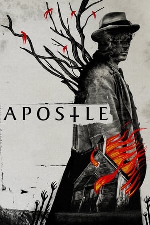 Havari | Apostle 2018